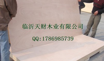 臨沂膠合板廠家福興美猴臨沂天財木業-【效果圖,產品圖,型號圖,工程圖】-中國